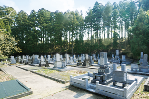 日野川西部墓地