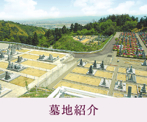 墓地紹介